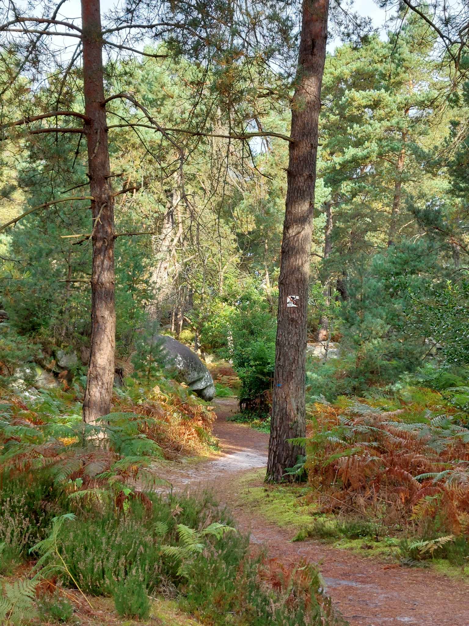 Messenger_creation_26B2899E-47A3-4C4F-ADE8-A711300F70AF