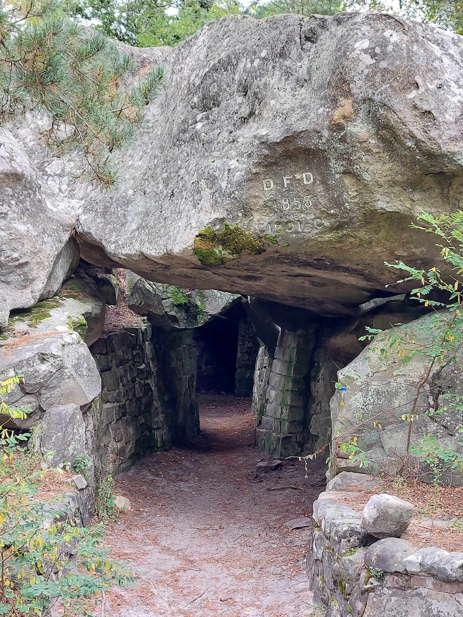 Messenger_creation_49CC85FA-26F9-46C7-8B41-D8858CD67CB0