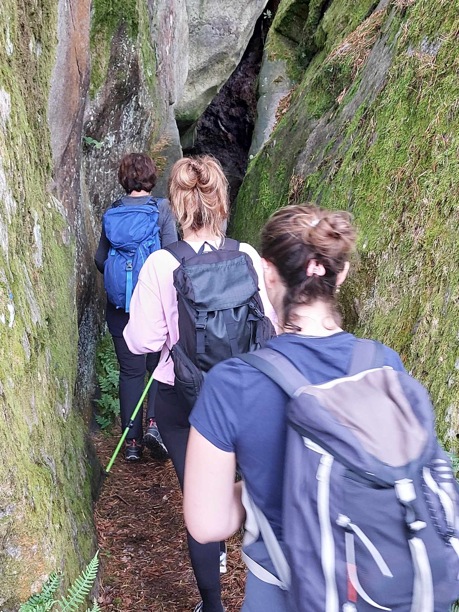 Messenger_creation_C0BDE73E-D6FF-4D18-AA00-366839BA5D0E