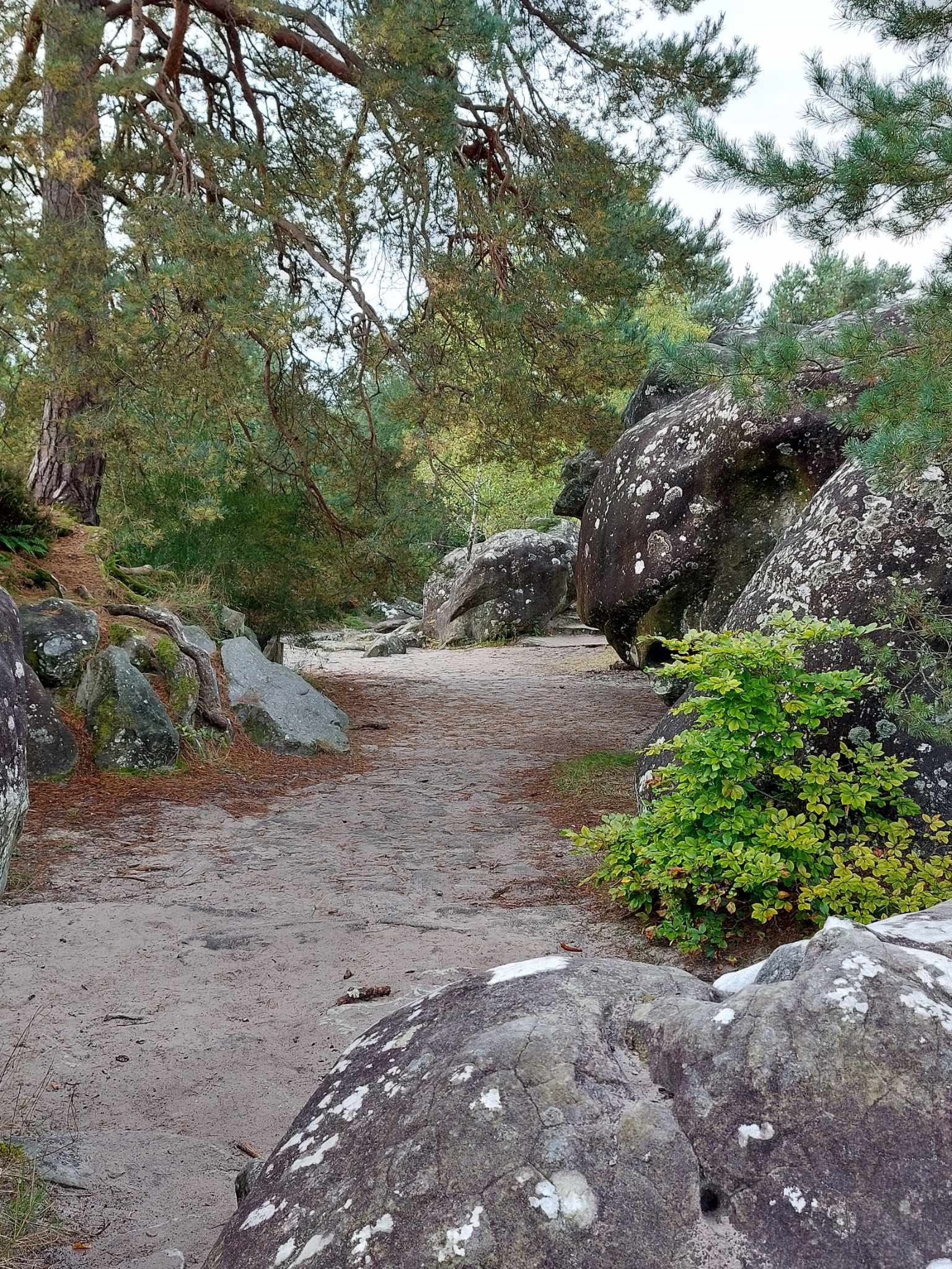 Messenger_creation_E71E4B90-0547-4504-8F33-51913CDCFBAD